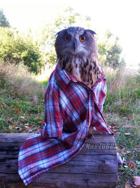 Sosyal medyada paylaşılan birbirinden ilginç fotoğraflar - 104