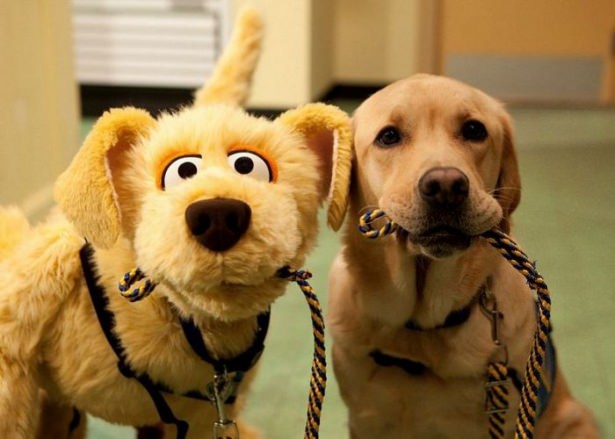 Sosyal medyada paylaşılan birbirinden ilginç fotoğraflar - 44