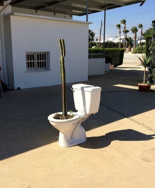 Sosyal medyada paylaşılan birbirinden ilginç fotoğraflar - 105