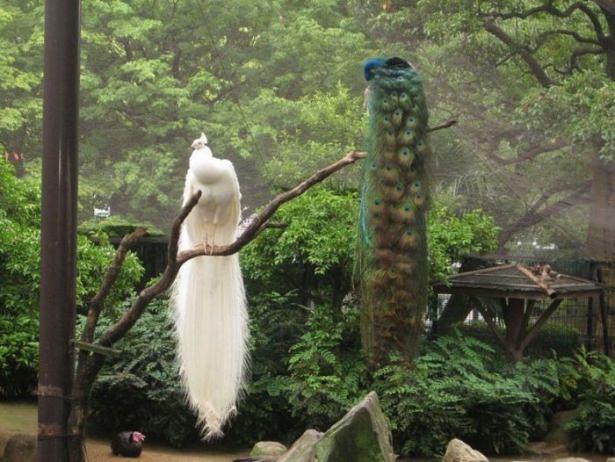 Sosyal medyada paylaşılan birbirinden ilginç fotoğraflar - 91