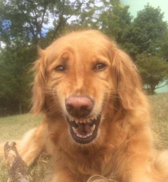 Sosyal medyada paylaşılan birbirinden ilginç fotoğraflar - 78