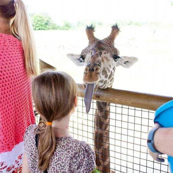 Sosyal medyada paylaşılan birbirinden ilginç fotoğraflar - 121
