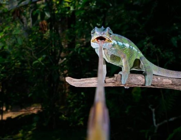 Sosyal medyada paylaşılan birbirinden ilginç fotoğraflar - 72