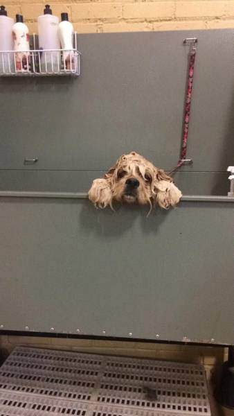 Sosyal medyada paylaşılan birbirinden ilginç fotoğraflar - 61