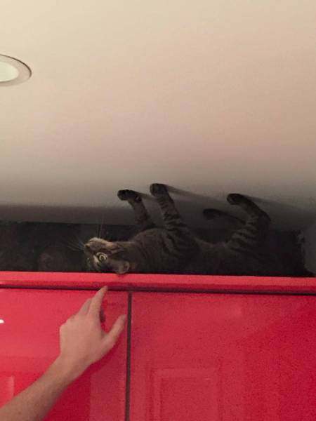 Sosyal medyada paylaşılan birbirinden ilginç fotoğraflar - 35