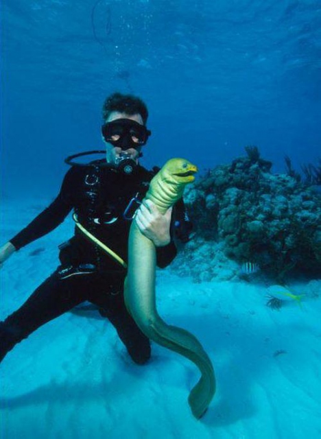 Sosyal medyada paylaşılan birbirinden ilginç fotoğraflar - 13