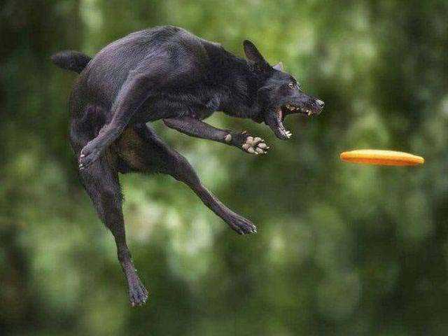 Sosyal medyada paylaşılan birbirinden ilginç fotoğraflar - 59