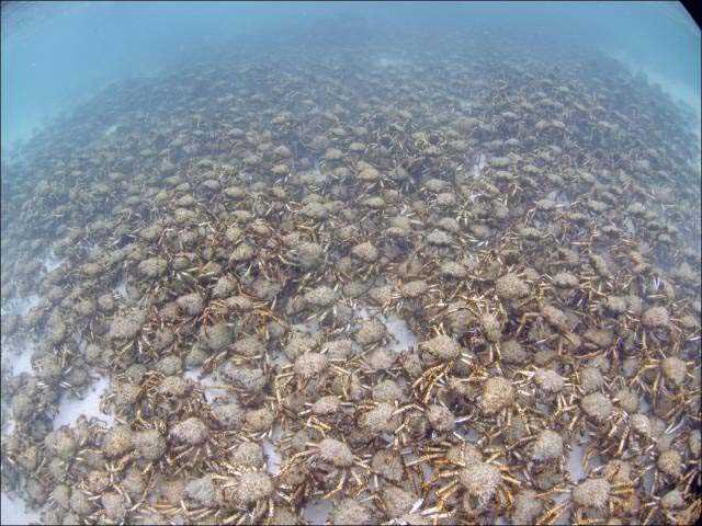 Sosyal medyada paylaşılan birbirinden ilginç fotoğraflar - 103