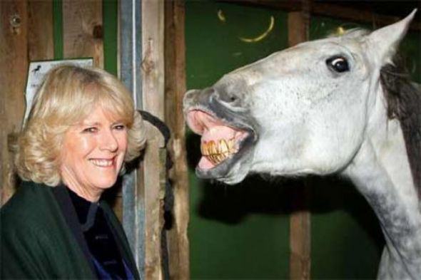 Sosyal medyada paylaşılan birbirinden ilginç fotoğraflar - 106