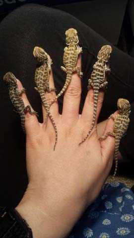 Sosyal medyada paylaşılan birbirinden ilginç fotoğraflar - 77