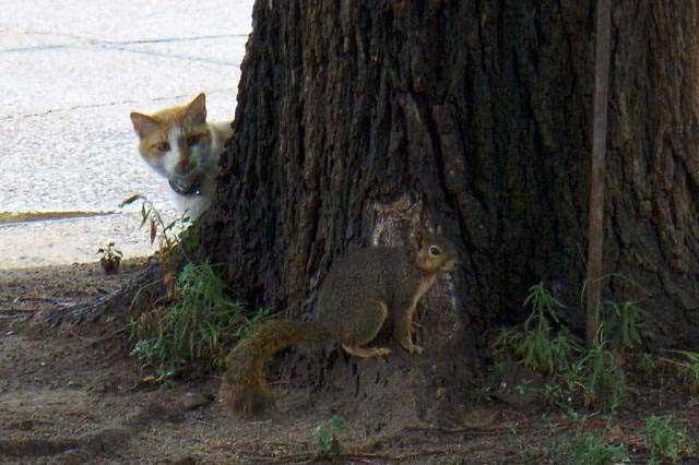 Sosyal medyada paylaşılan birbirinden ilginç fotoğraflar - 88