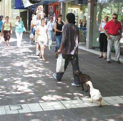 Sosyal medyada paylaşılan birbirinden ilginç fotoğraflar - 24