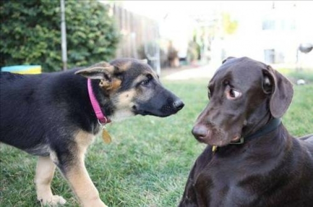 Sosyal medyada paylaşılan birbirinden ilginç fotoğraflar - 31