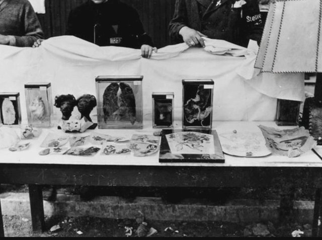 2.Dünya Savaşı'nın bilinmeyenleri - 53