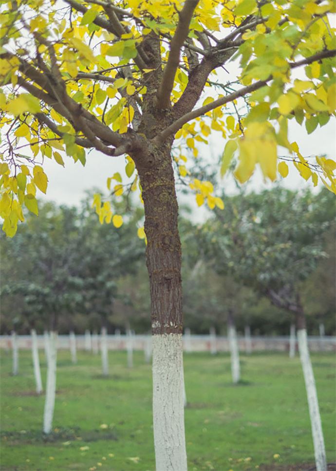 Zamanlama harikası kareler - 8