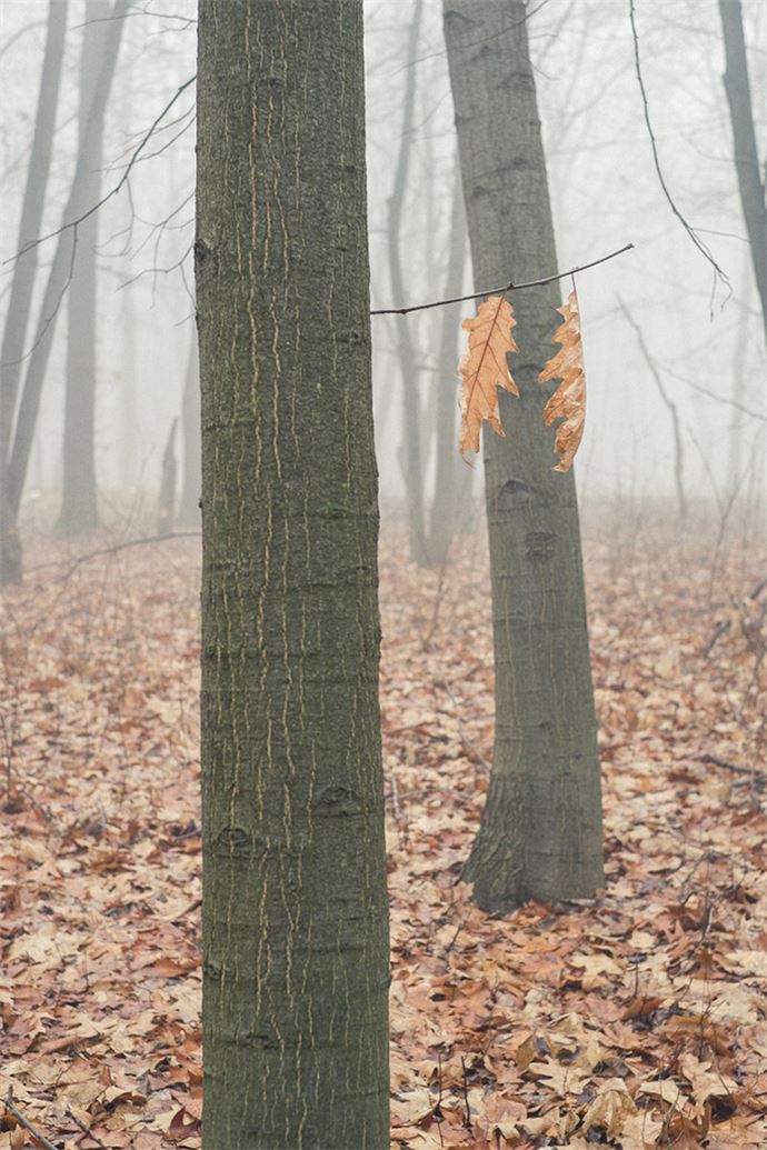 Zamanlama harikası kareler - 17