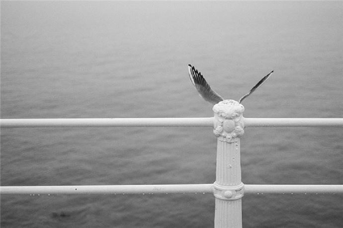 Zamanlama harikası kareler - 2