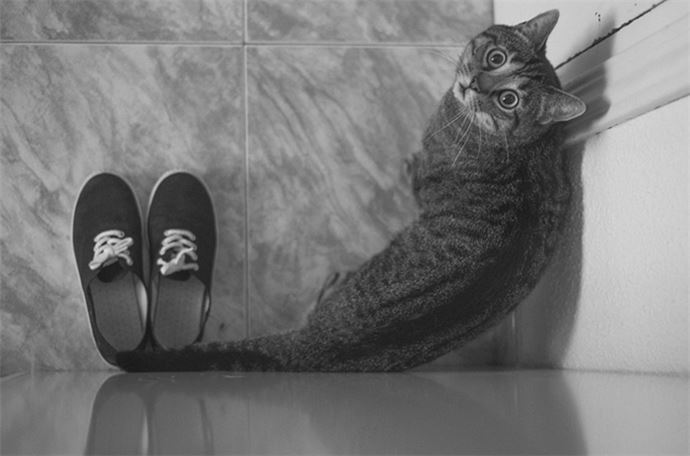 Zamanlama harikası kareler - 28