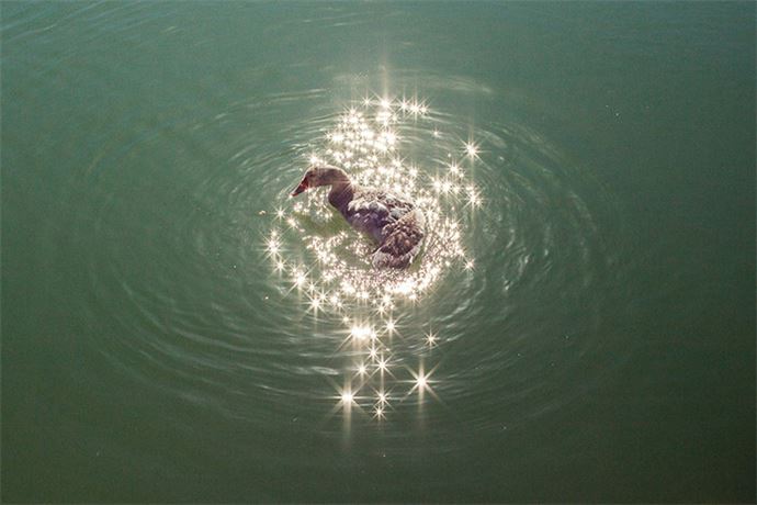 Zamanlama harikası kareler - 12