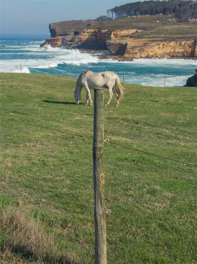 Zamanlama harikası kareler - 33