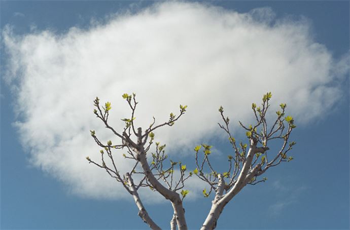 Zamanlama harikası kareler - 3