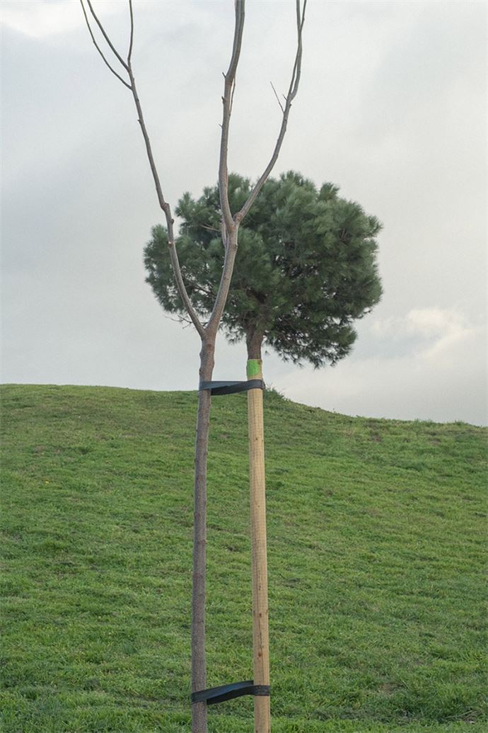 Zamanlama harikası kareler - 19