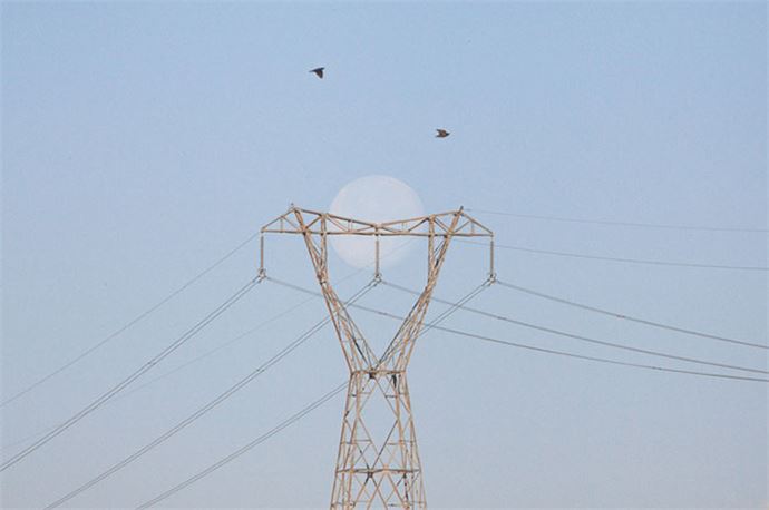 Zamanlama harikası kareler - 16