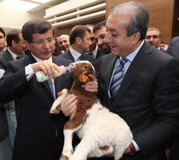 Fotoğraflarla Davutoğlu'nun Başbakanlıkta 21 ayı - 65