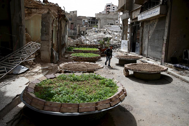 Suriye'den geriye kalanlar - 29