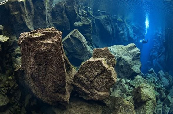 Su altı dünyasından harika kareler - 23