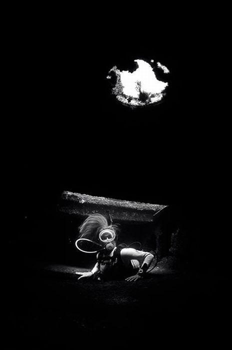 Su altı dünyasından harika kareler - 13