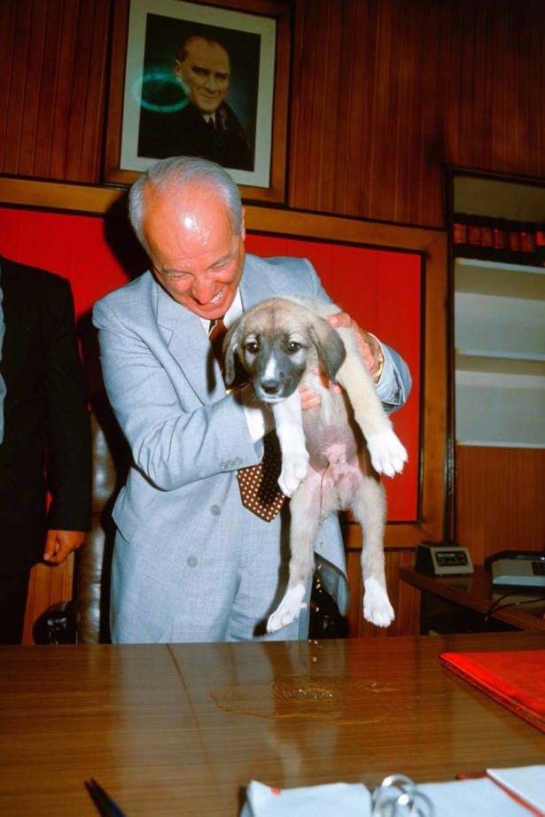 Arşivlerden çıkan Türkiye tarihi - 6