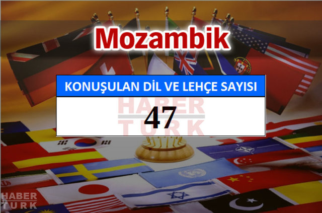 Hangi ülkede kaç dil ve lehçe konuşuluyor? - 727