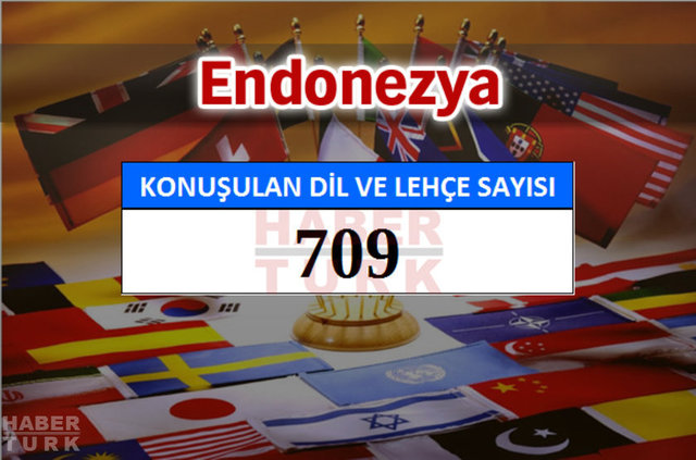 Hangi ülkede kaç dil ve lehçe konuşuluyor? - 692