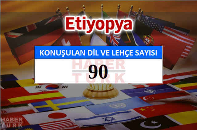 Hangi ülkede kaç dil ve lehçe konuşuluyor? - 600