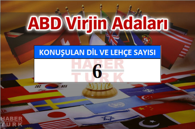 Hangi ülkede kaç dil ve lehçe konuşuluyor? - 695