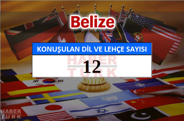 Hangi ülkede kaç dil ve lehçe konuşuluyor? - 769