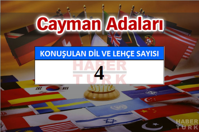 Hangi ülkede kaç dil ve lehçe konuşuluyor? - 935