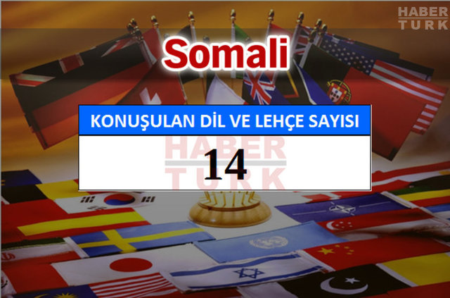 Hangi ülkede kaç dil ve lehçe konuşuluyor? - 805