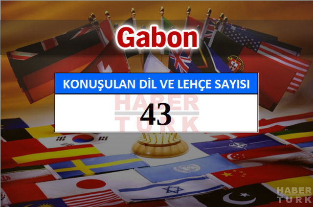Hangi ülkede kaç dil ve lehçe konuşuluyor? - 675