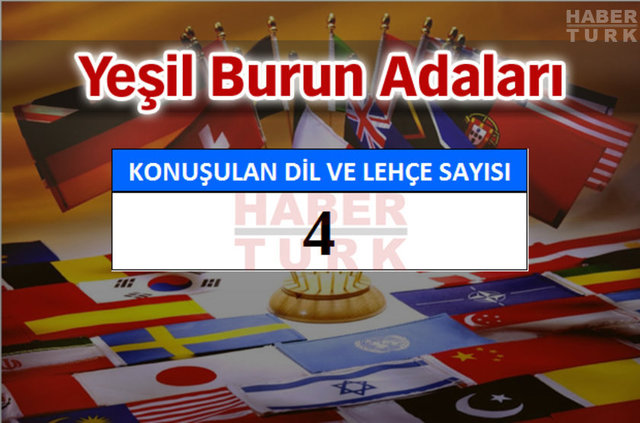 Hangi ülkede kaç dil ve lehçe konuşuluyor? - 930