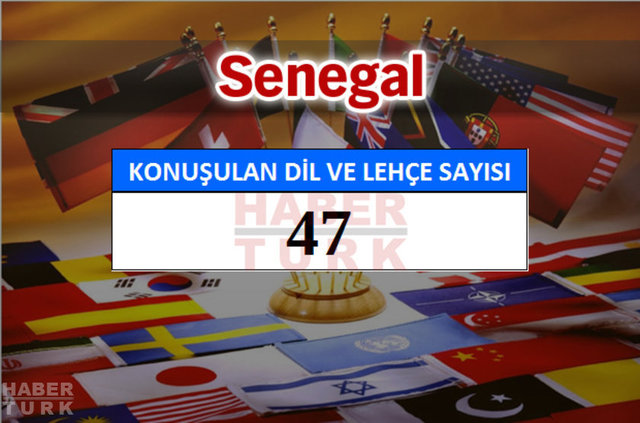 Hangi ülkede kaç dil ve lehçe konuşuluyor? - 690