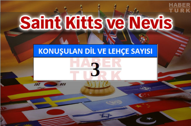 Hangi ülkede kaç dil ve lehçe konuşuluyor? - 850