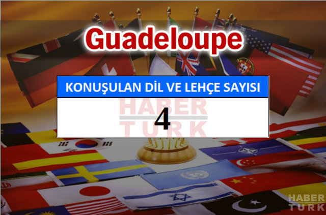 Hangi ülkede kaç dil ve lehçe konuşuluyor? - 645