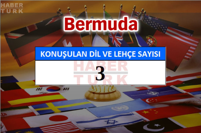 Hangi ülkede kaç dil ve lehçe konuşuluyor? - 803