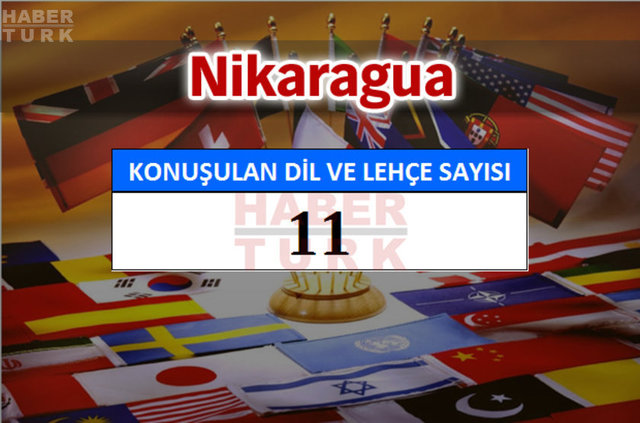 Hangi ülkede kaç dil ve lehçe konuşuluyor? - 597