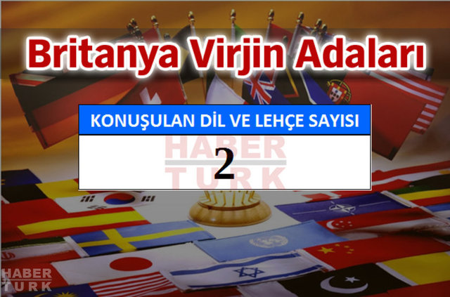 Hangi ülkede kaç dil ve lehçe konuşuluyor? - 565