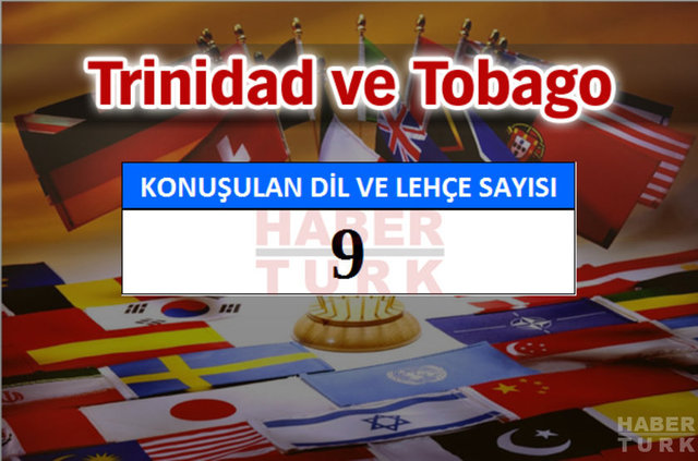 Hangi ülkede kaç dil ve lehçe konuşuluyor? - 610