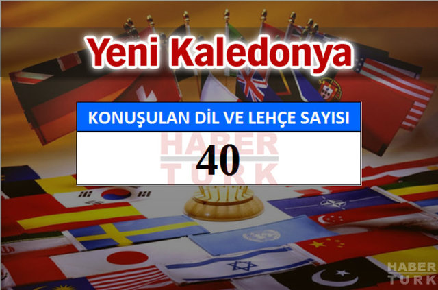 Hangi ülkede kaç dil ve lehçe konuşuluyor? - 628