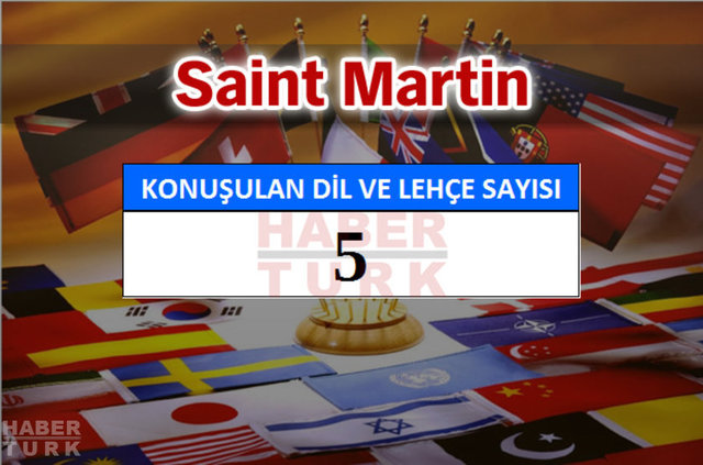 Hangi ülkede kaç dil ve lehçe konuşuluyor? - 526